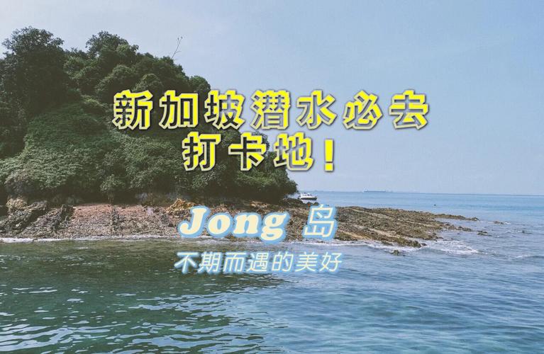 东南亚成“打卡地”白酒出海如何步入进阶版