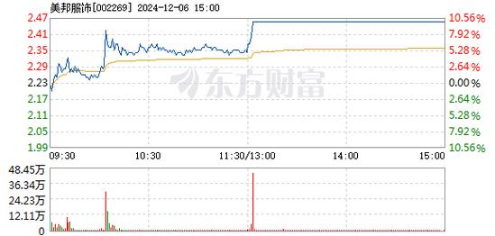 中岩大地12月19日快速反弹