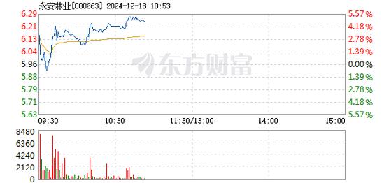 永安林业12月20日快速上涨