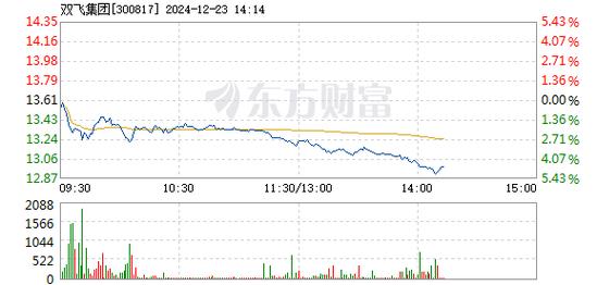 双飞集团12月3日快速回调