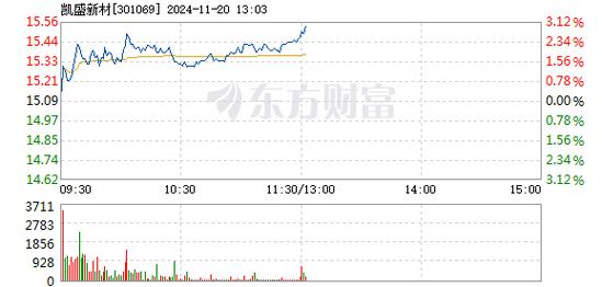 凯盛新材12月20日快速上涨