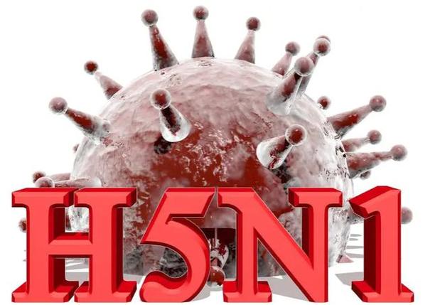 世卫组织：H5N1型禽流感病毒的全球风险仍较低_1