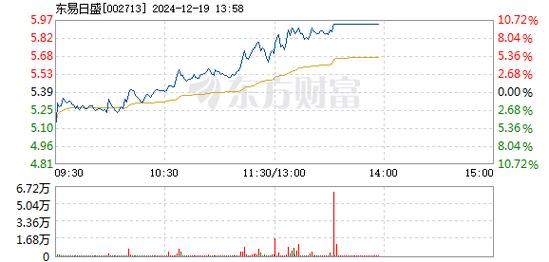 东易日盛12月17日加速下跌