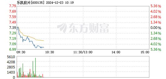 乐凯胶片12月20日快速上涨